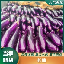 A级精品紫长茄，广茄，紫把，产地直供，保证质量。