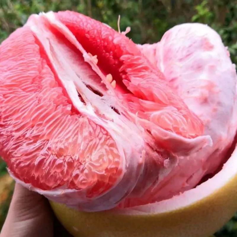 红心柚白心柚价格适惠电商社区团购批发产地视频走货保质保量