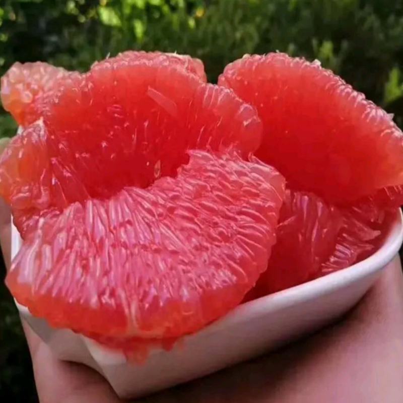红心柚白心柚价格适惠电商社区团购批发产地视频走货保质保量