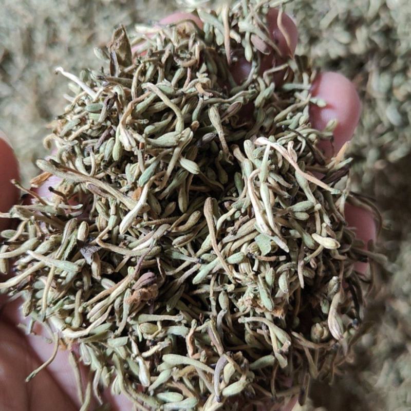 贵州野生金银花