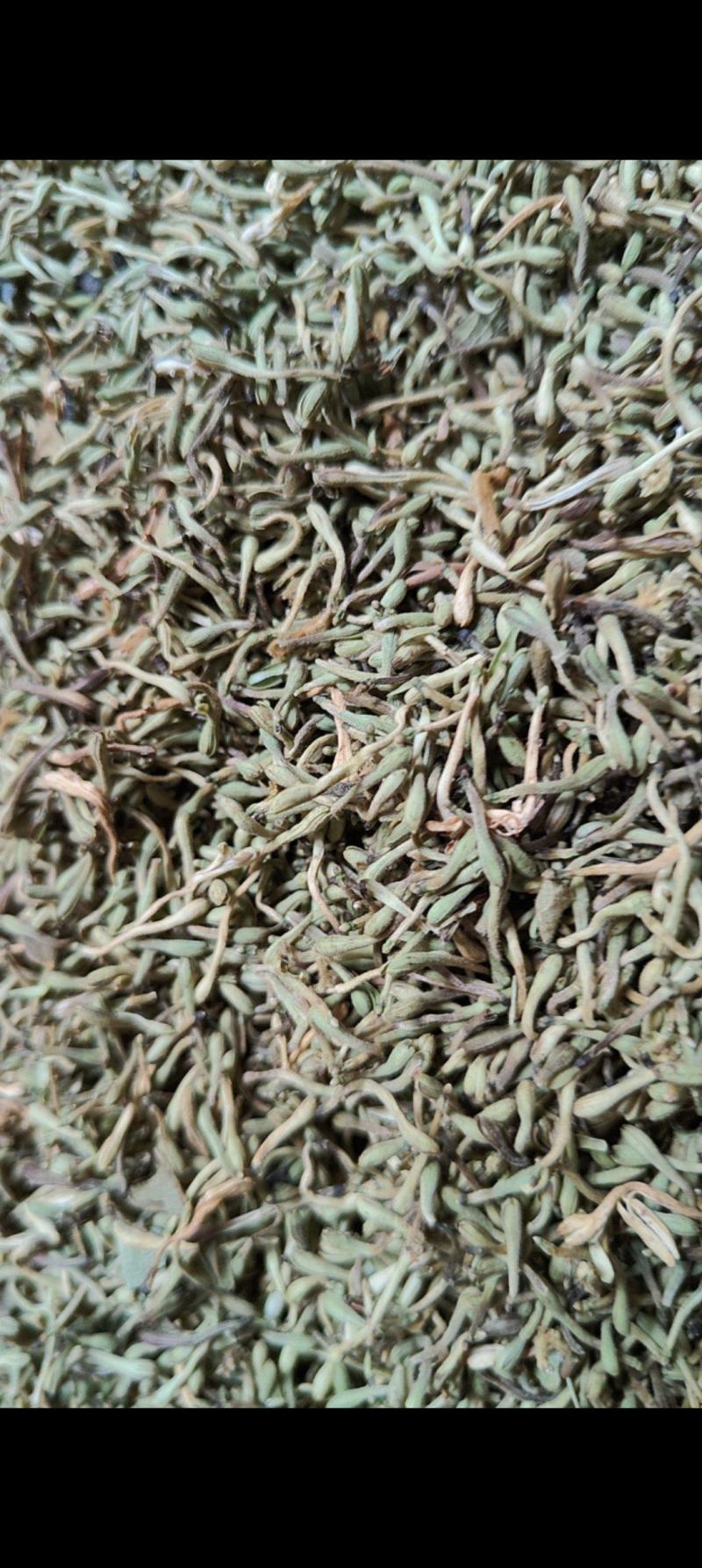 贵州野生金银花