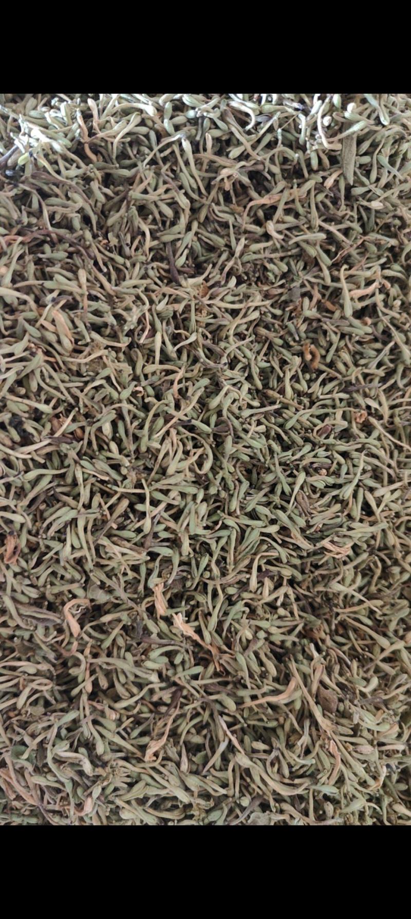 贵州野生金银花