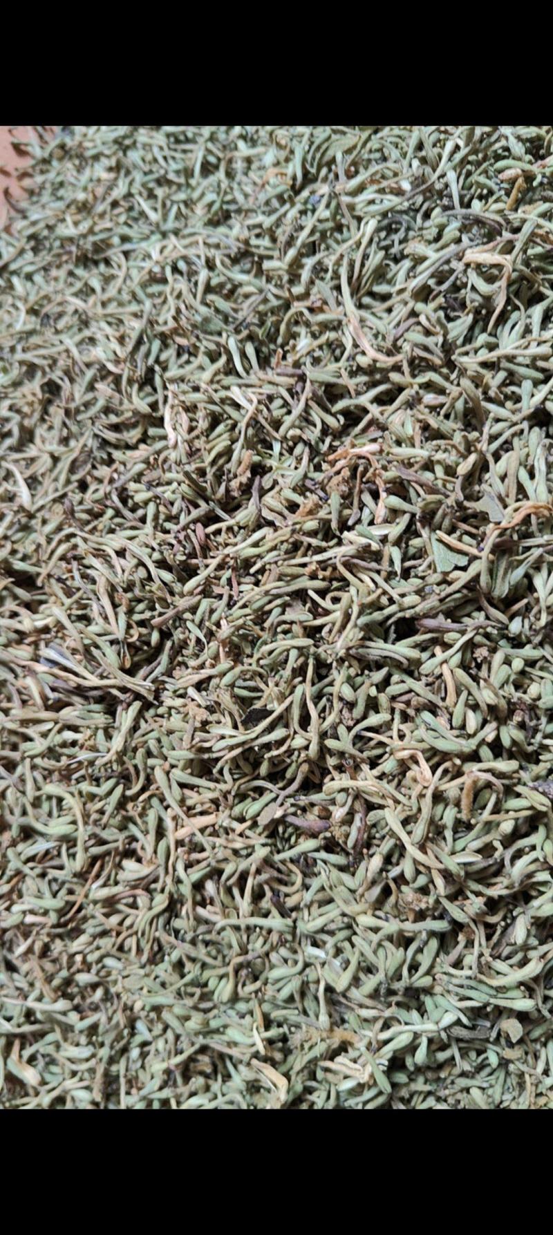 贵州野生金银花