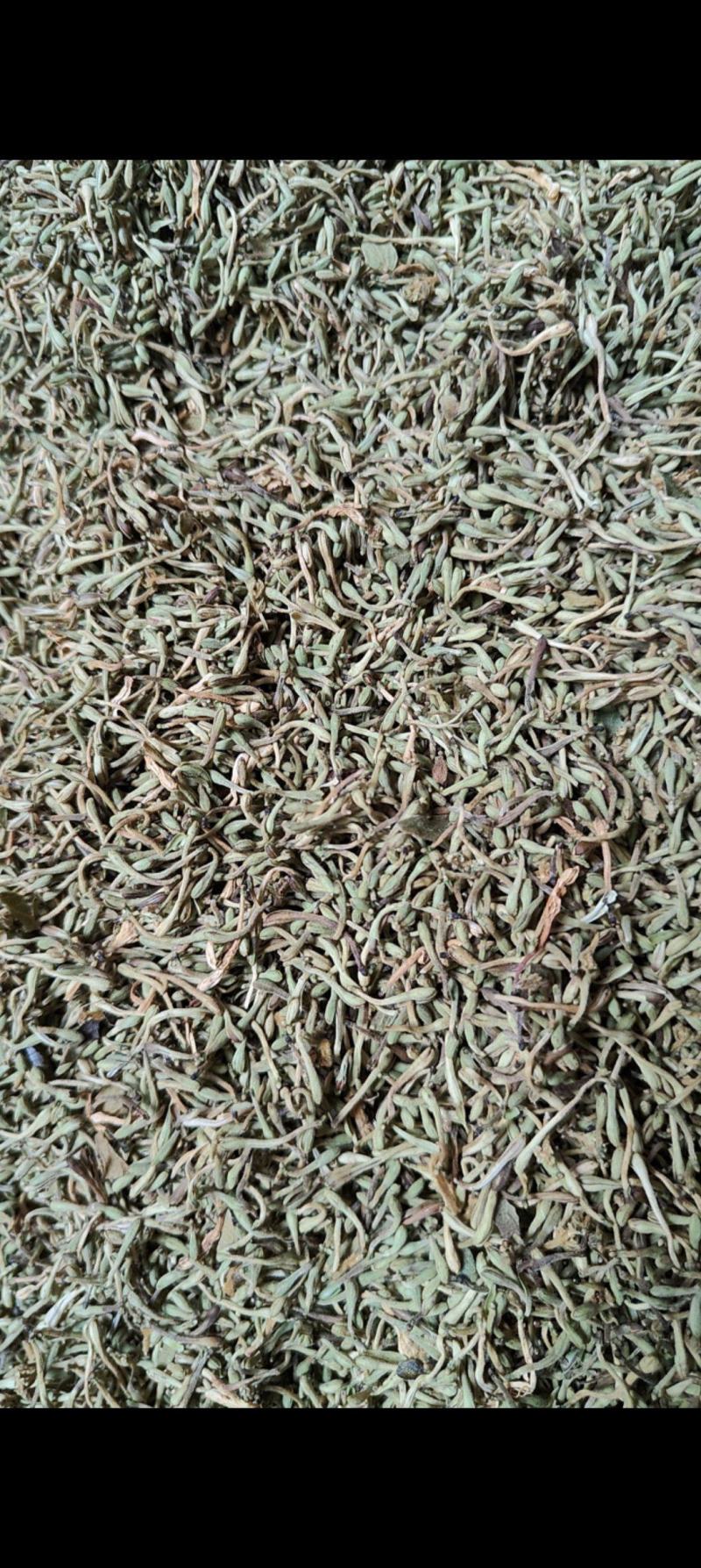 贵州野生金银花