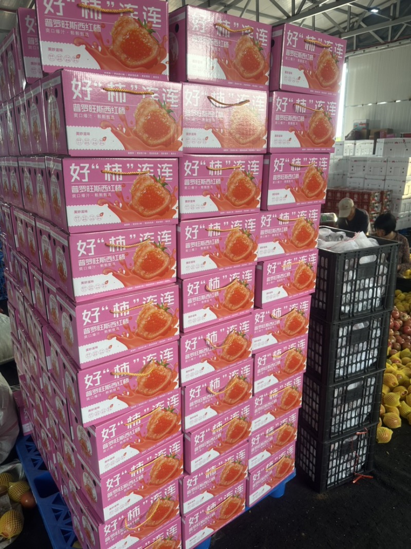 【精品】海阳西红柿普罗旺斯番茄整车落地配全国发货