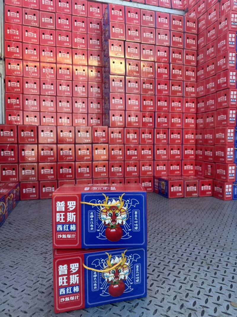 【精品】海阳西红柿普罗旺斯番茄整车落地配全国发货
