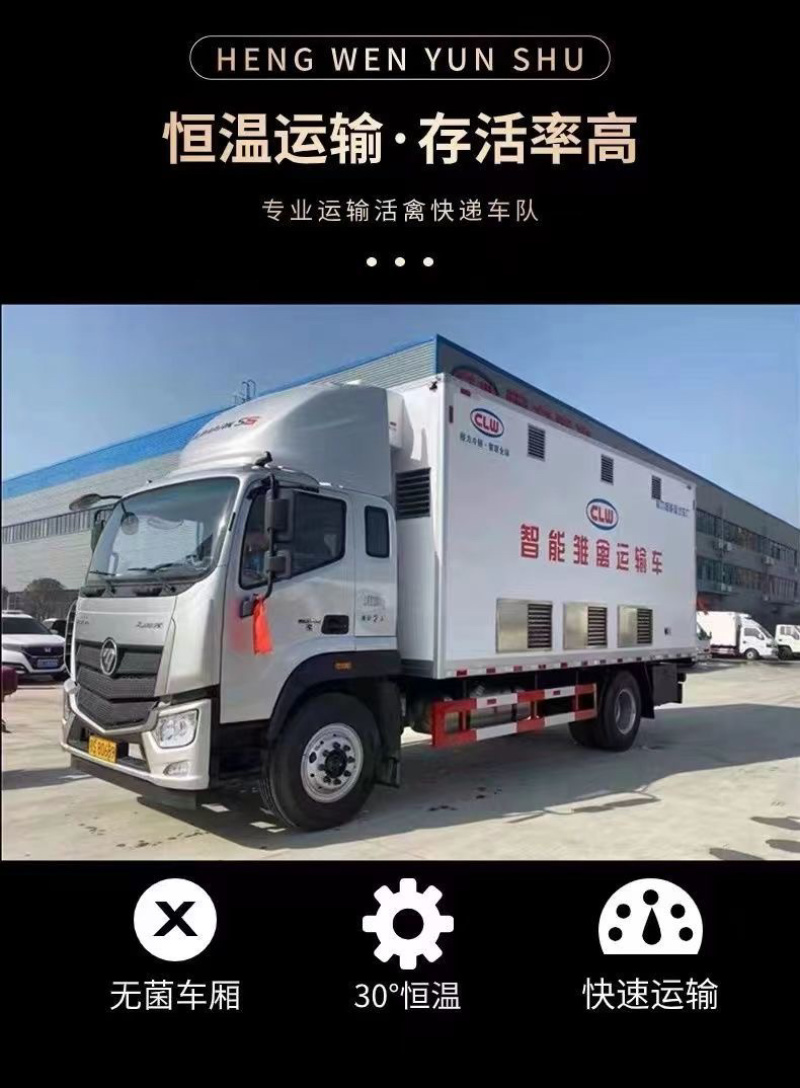 济南麻鸡苗包防疫包运输包成活率货到满意付款诚信服务