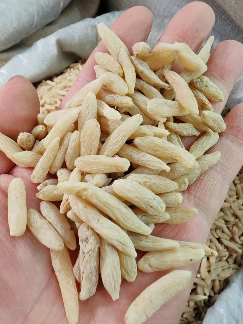 麦冬特价营养丰富超高性价比现货秒发
