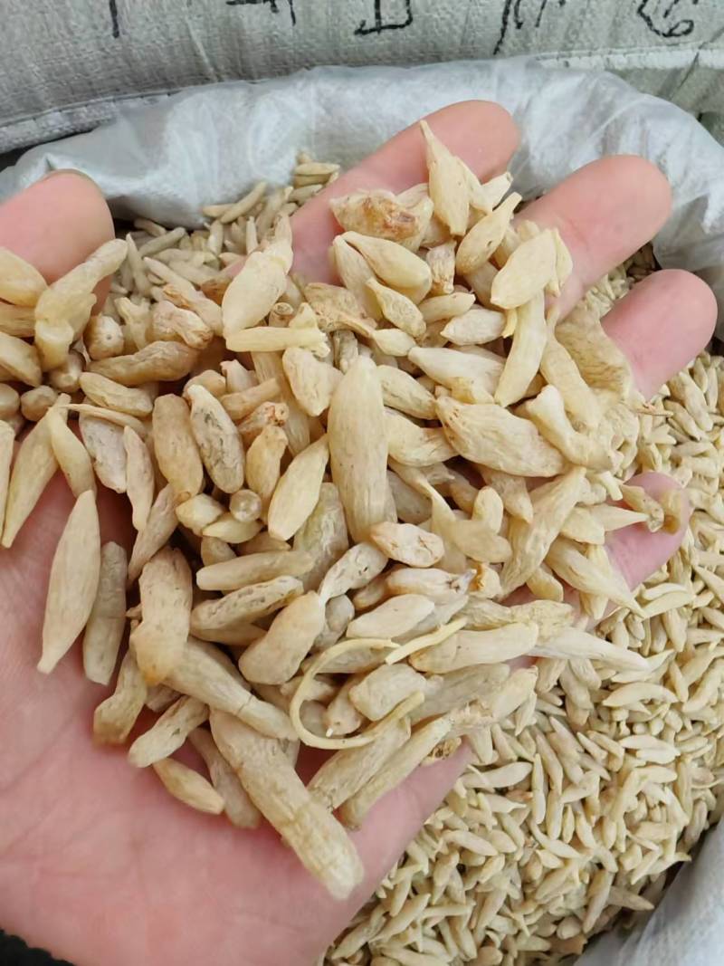 麦冬特价营养丰富超高性价比现货秒发