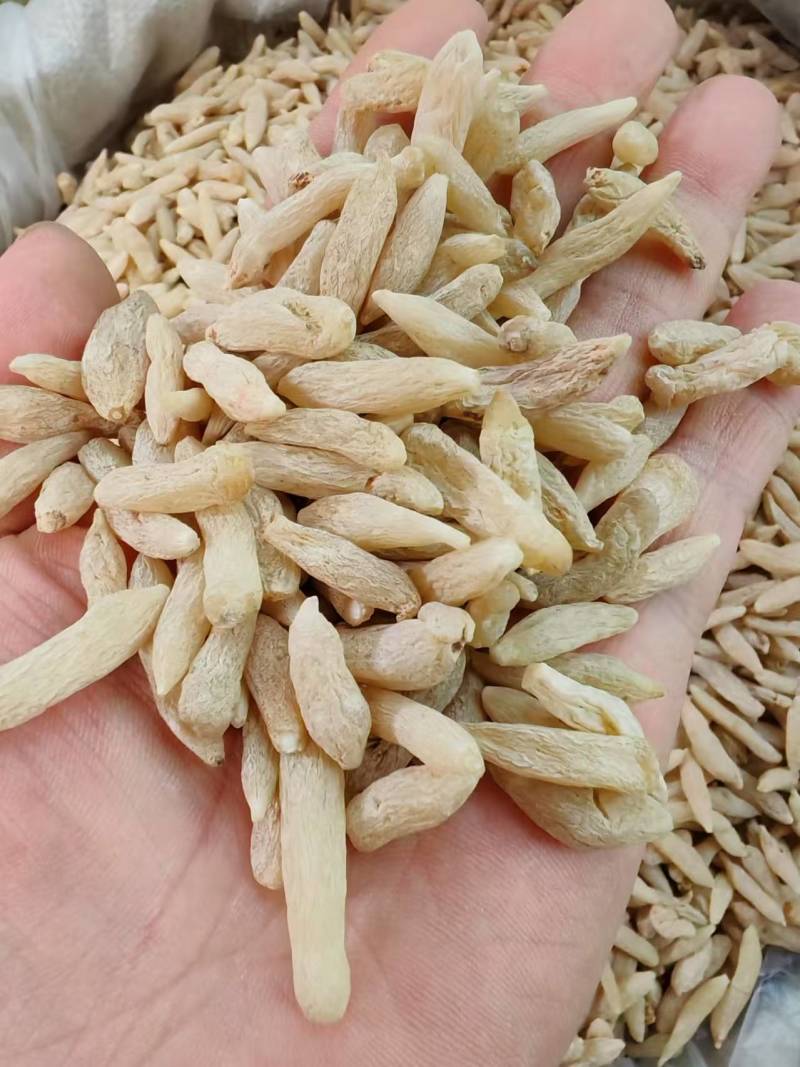 麦冬特价营养丰富超高性价比现货秒发