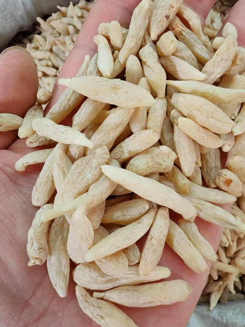 麦冬特价营养丰富超高性价比现货秒发