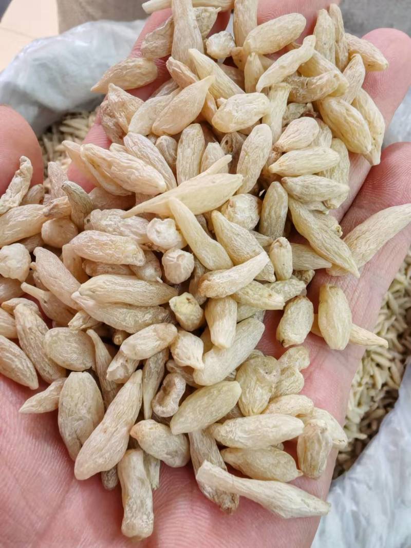 麦冬特价营养丰富超高性价比现货秒发