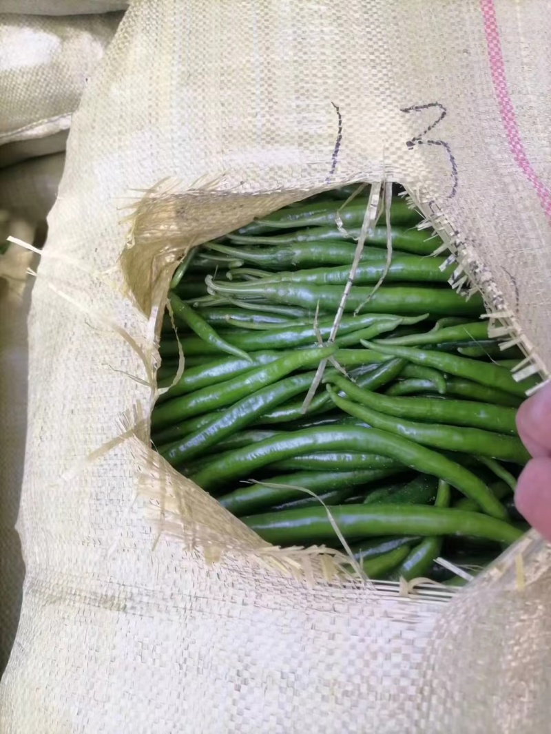 二荆条