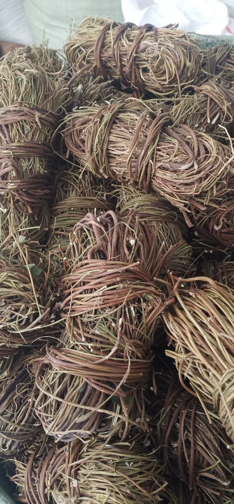 大叶无叶鸡骨草新上市中药㧗一手货源量大忧惠