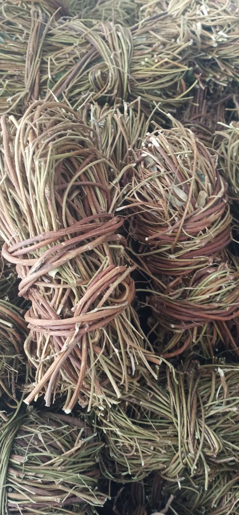 大叶无叶鸡骨草新上市中药㧗一手货源量大忧惠
