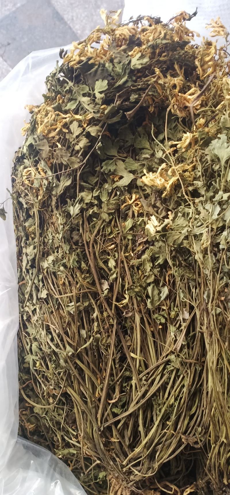 岩黄莲新货上市中药批发一手货源量忧惠