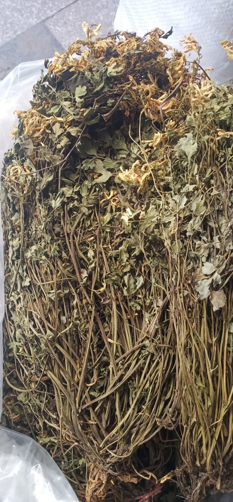 岩黄莲新货上市中药批发一手货源量忧惠