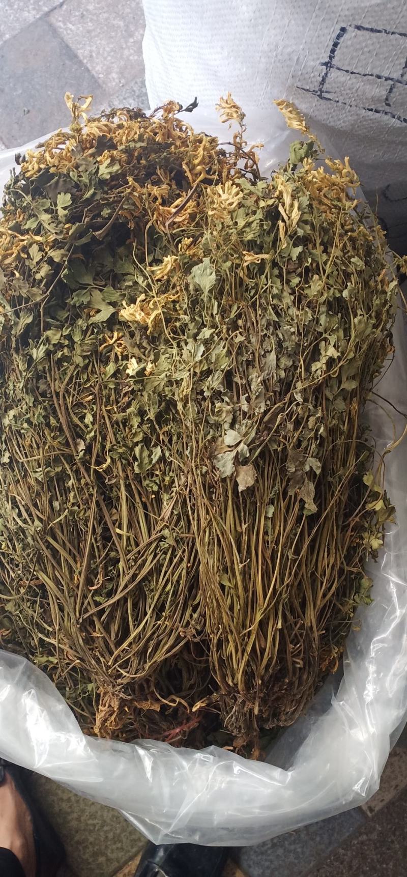 岩黄莲新货上市中药批发一手货源量忧惠
