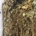 岩黄莲新货上市中药批发一手货源量忧惠