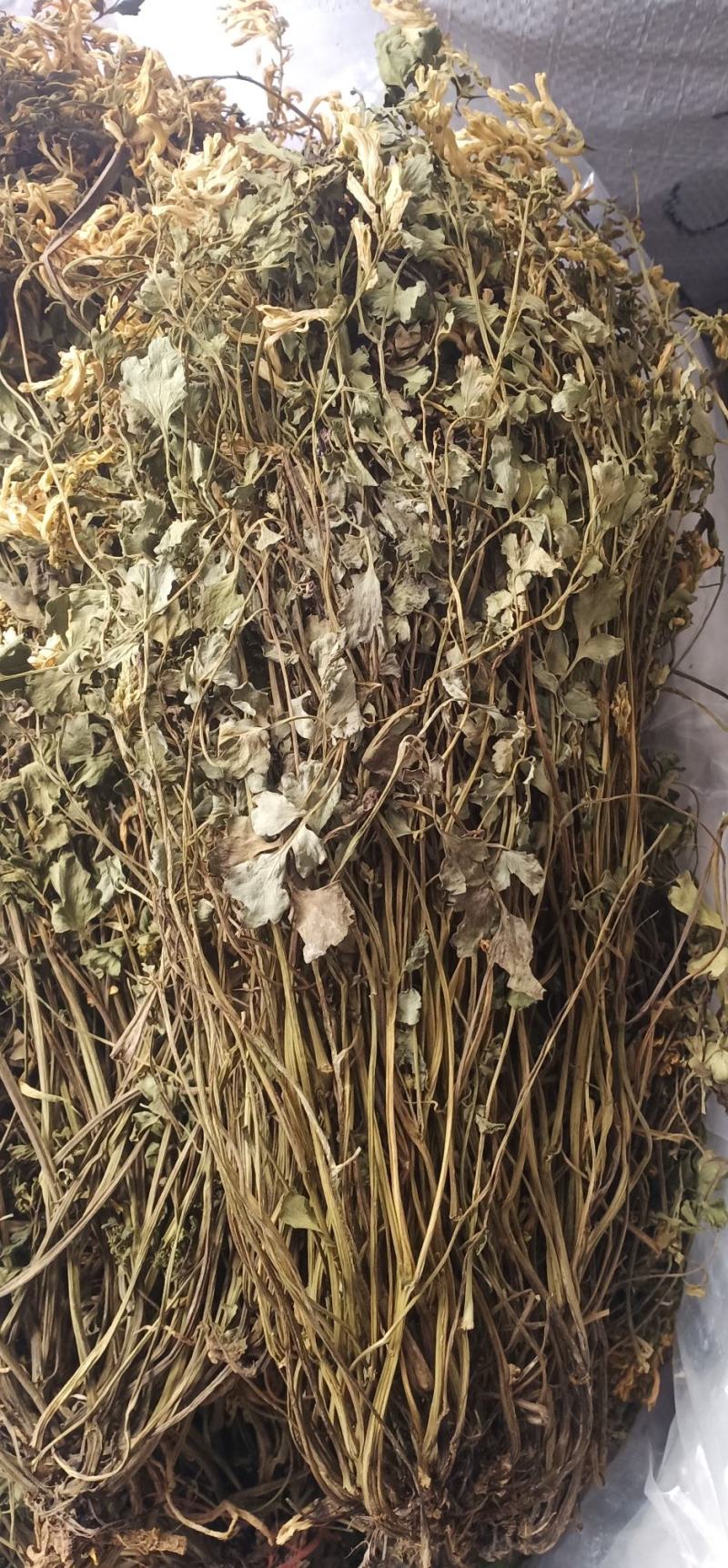 岩黄莲新货上市中药批发一手货源量忧惠