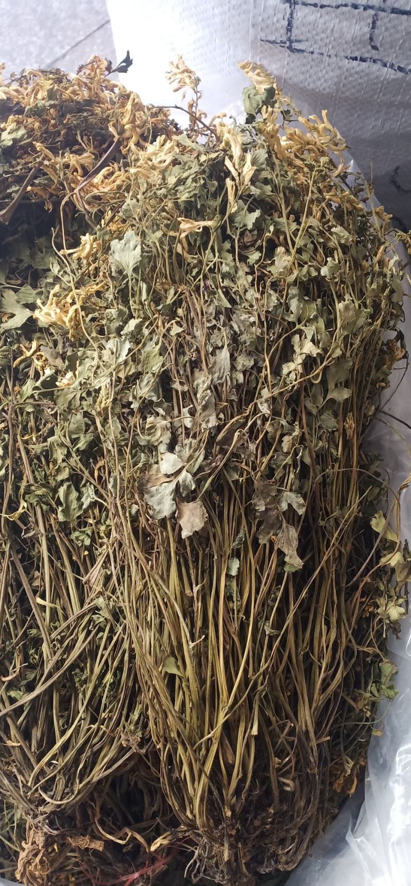岩黄莲新货上市中药批发一手货源量忧惠