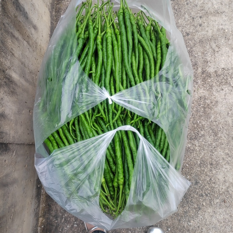 贵州悦枫尚品农业鸡爪椒