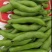 蚕豆