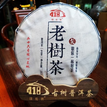 老树茶古树纯料2021年357克饼茶回甘很好买七饼送一饼