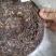 老树茶古树纯料2021年357克饼茶回甘很好买七饼送一饼