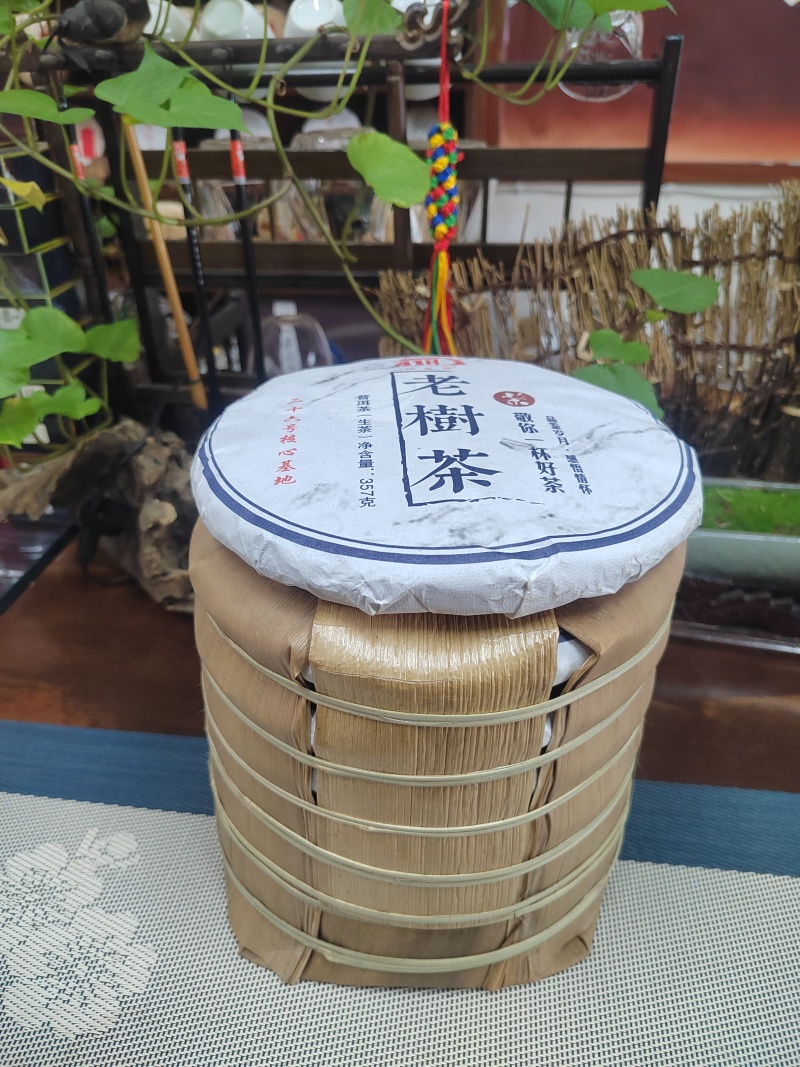 老树茶古树纯料2021年357克饼茶回甘很好买七饼送一饼