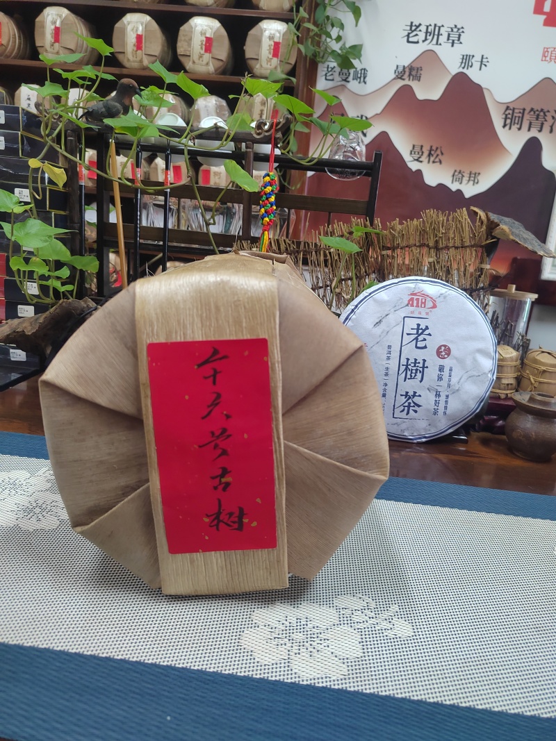 老树茶古树纯料2021年357克饼茶回甘很好买七饼送一饼