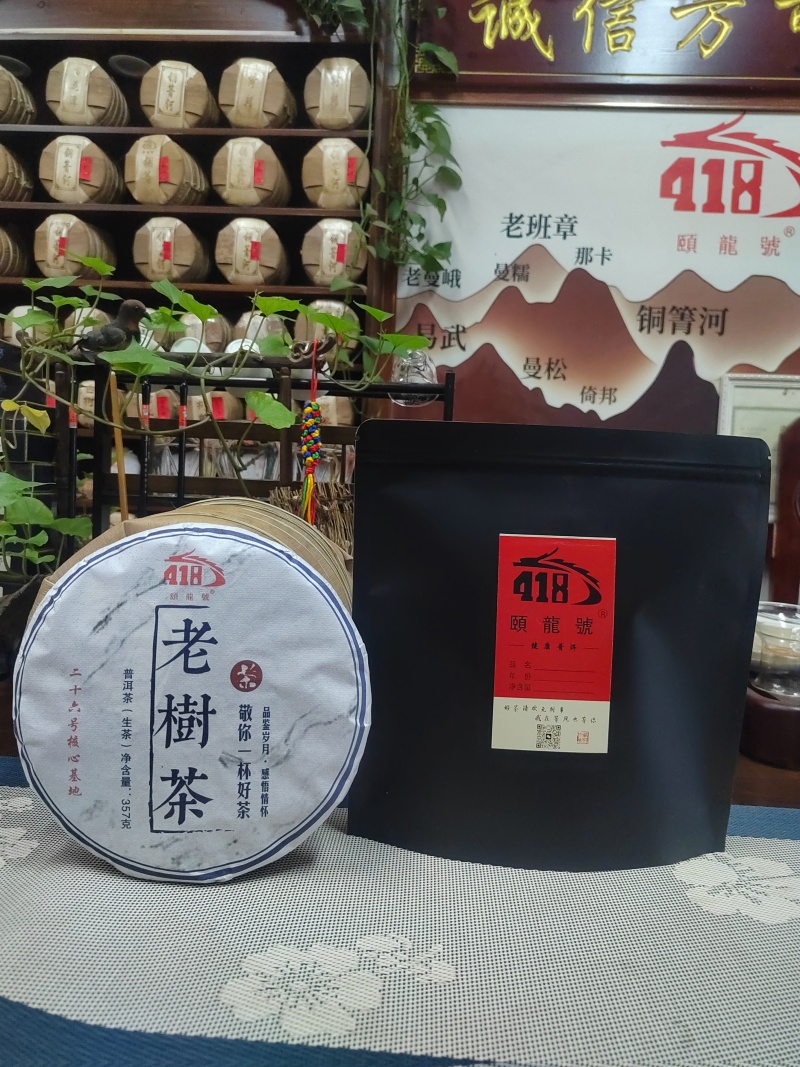 老树茶古树纯料2021年357克饼茶回甘很好买七饼送一饼