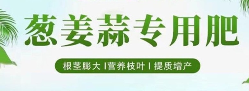 葱姜蒜专用肥种菜叶片肥厚膨大果实颗粒缓释肥料抗病增产