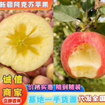 新疆阿克苏苹果冰糖心苹果大量上市全国发货货到付款