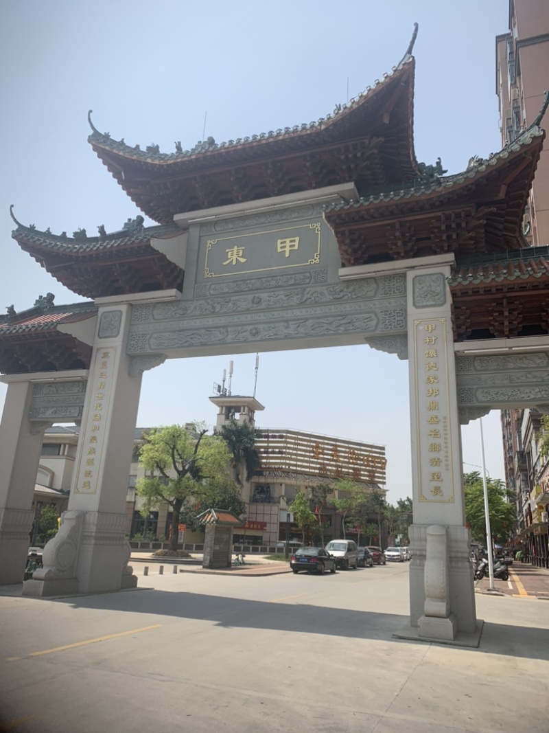 正宗陈皮地道风味超高性价比无杂质保证