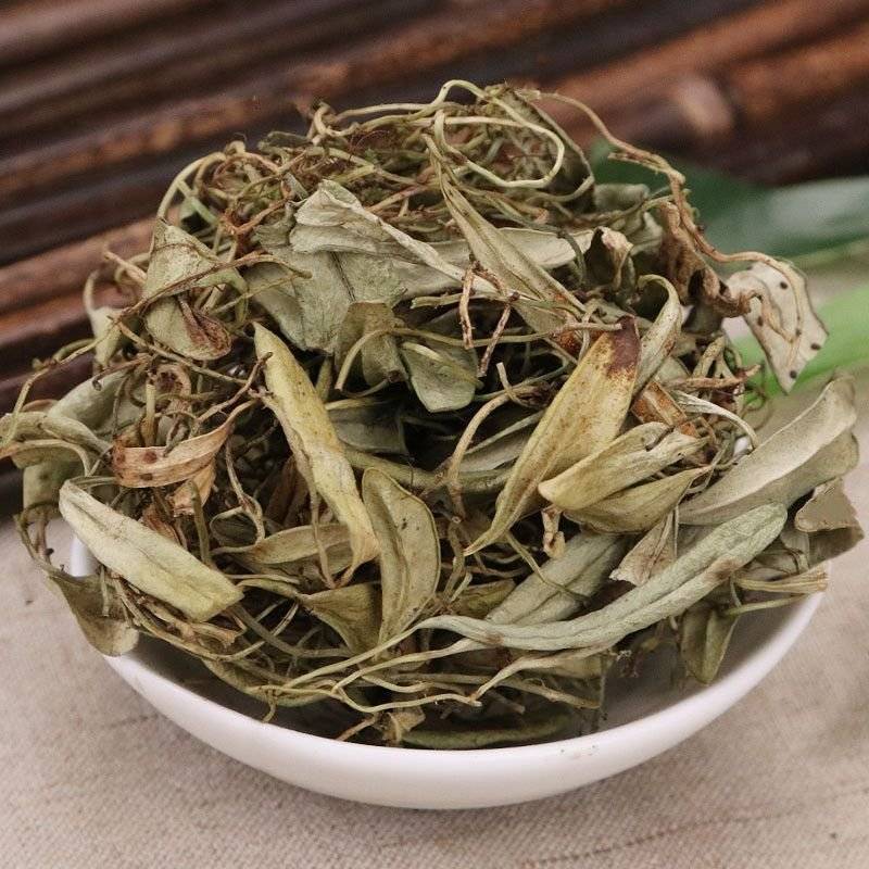 抱石莲中药材抱石连抱树莲瓜子菜优质瓜米菜飞连草