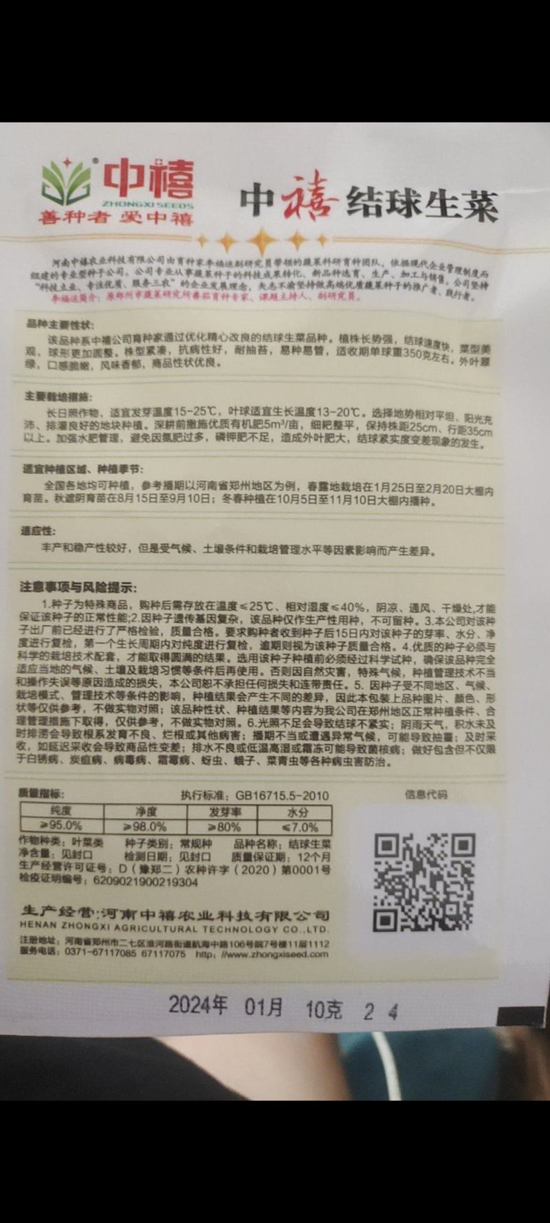 【精品】量大批发耐抽苔生菜种子半结球生菜种子100克