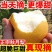 包邮【爆甜】山东正宗秋月梨水果新鲜应季脆甜薄皮梨子整箱