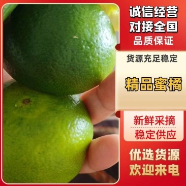 柑桔