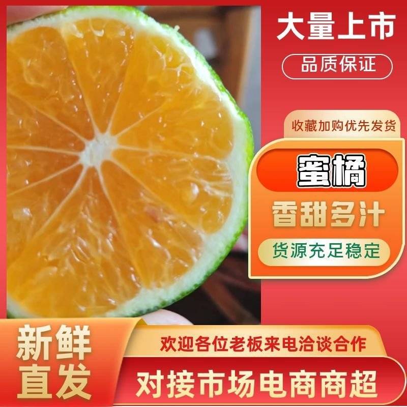 【四川蜜橘】特早蜜橘/四川蜜桔/抖音多多电商日供应2万单