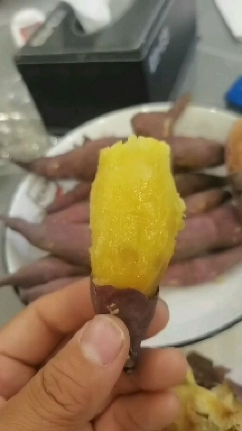 精品正宗红瑶红薯紫皮奶黄心大量上市