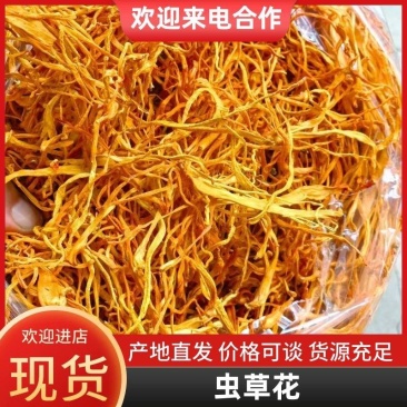推荐东北虫草花对接全国量大从优提供一条龙服务诚信合作