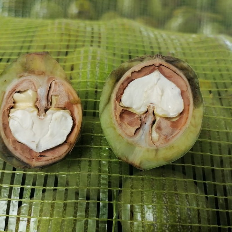 陕西核桃青皮，光果，大批量供应，一手货源