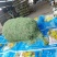 豆角丝架豆王干豆角丝天然日晒15cm以上下