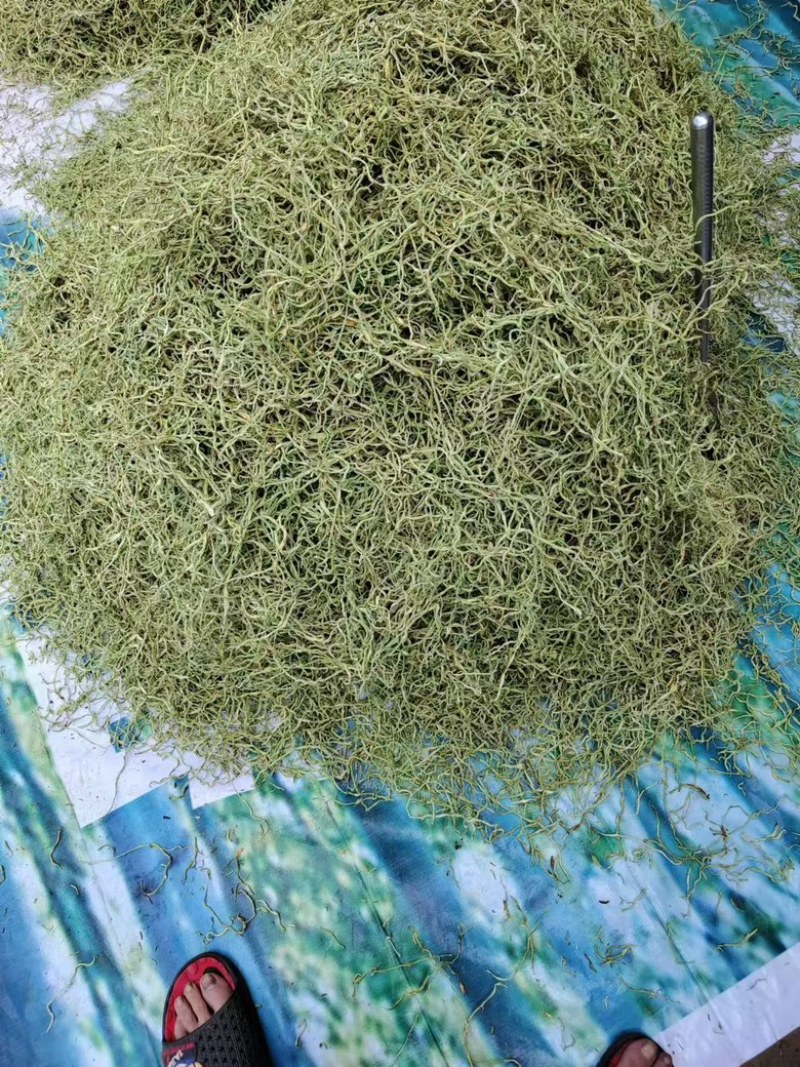 干豆角丝15厘米以上架豆王干丝，价格优惠欢迎采购