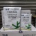 百睿二氢卟吩铁植物生长调节剂提质增产解药害农药调节剂