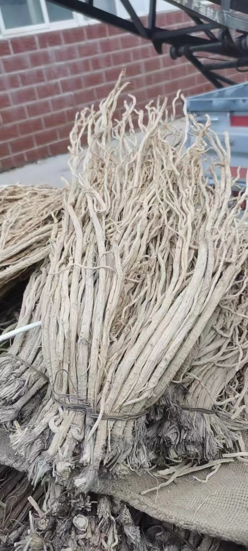优选防风