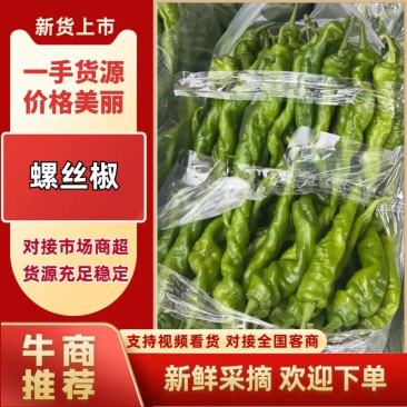 【推荐老店】湖北辣椒螺丝椒产地直发商超品质全国发货