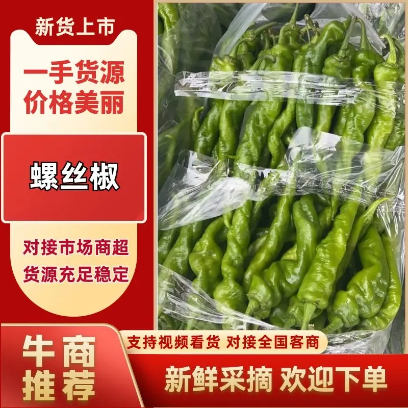 【推荐老店】湖北辣椒螺丝椒产地直发商超品质全国发货