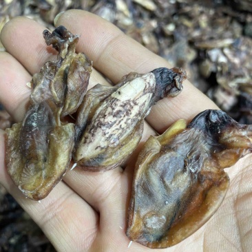 小墨鱼干纯淡足干墨鱼仔汤底料鲜味十足一手货源批发